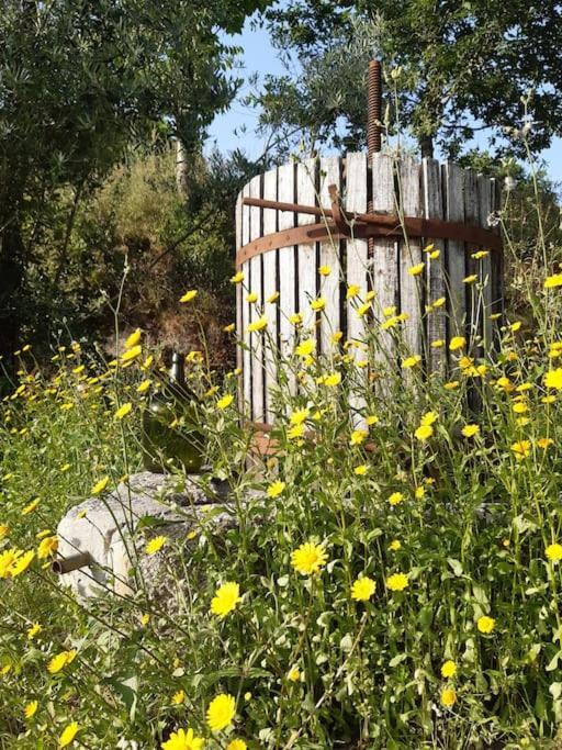 לינה וארוחת בוקר טראס דה בורו A Casa Com 2 Pereiras מראה חיצוני תמונה
