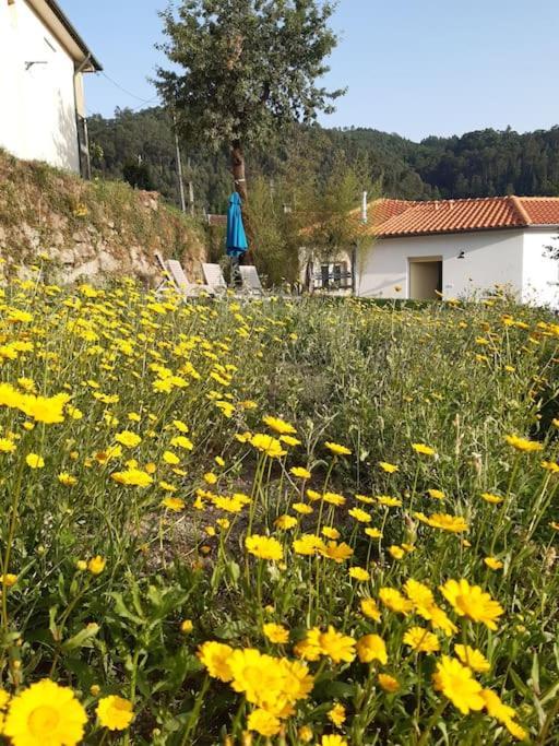 לינה וארוחת בוקר טראס דה בורו A Casa Com 2 Pereiras מראה חיצוני תמונה