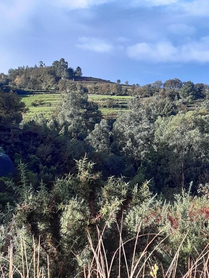 לינה וארוחת בוקר טראס דה בורו A Casa Com 2 Pereiras מראה חיצוני תמונה